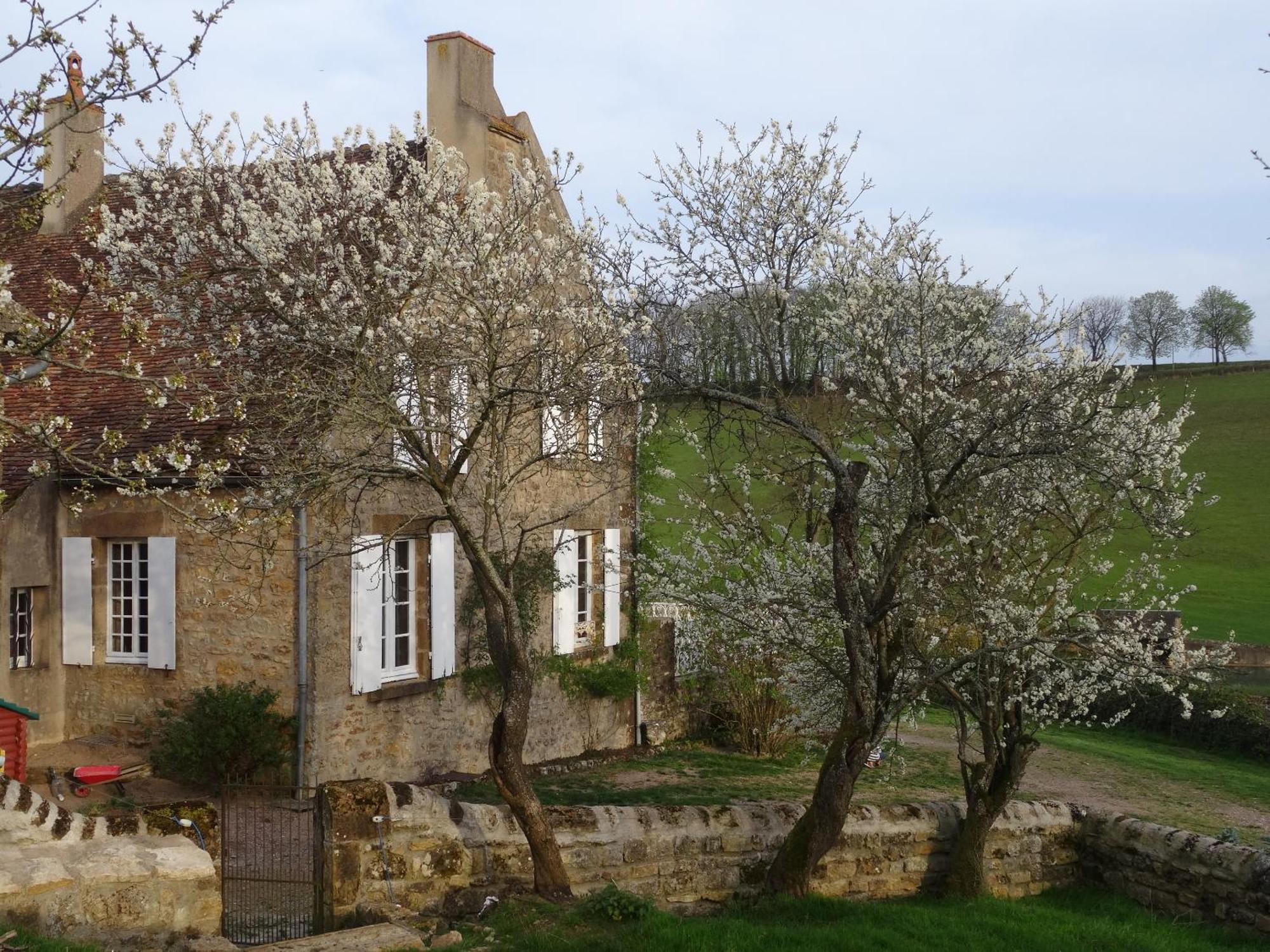 Domaine De Dremont Bed & Breakfast Anthien Eksteriør bilde