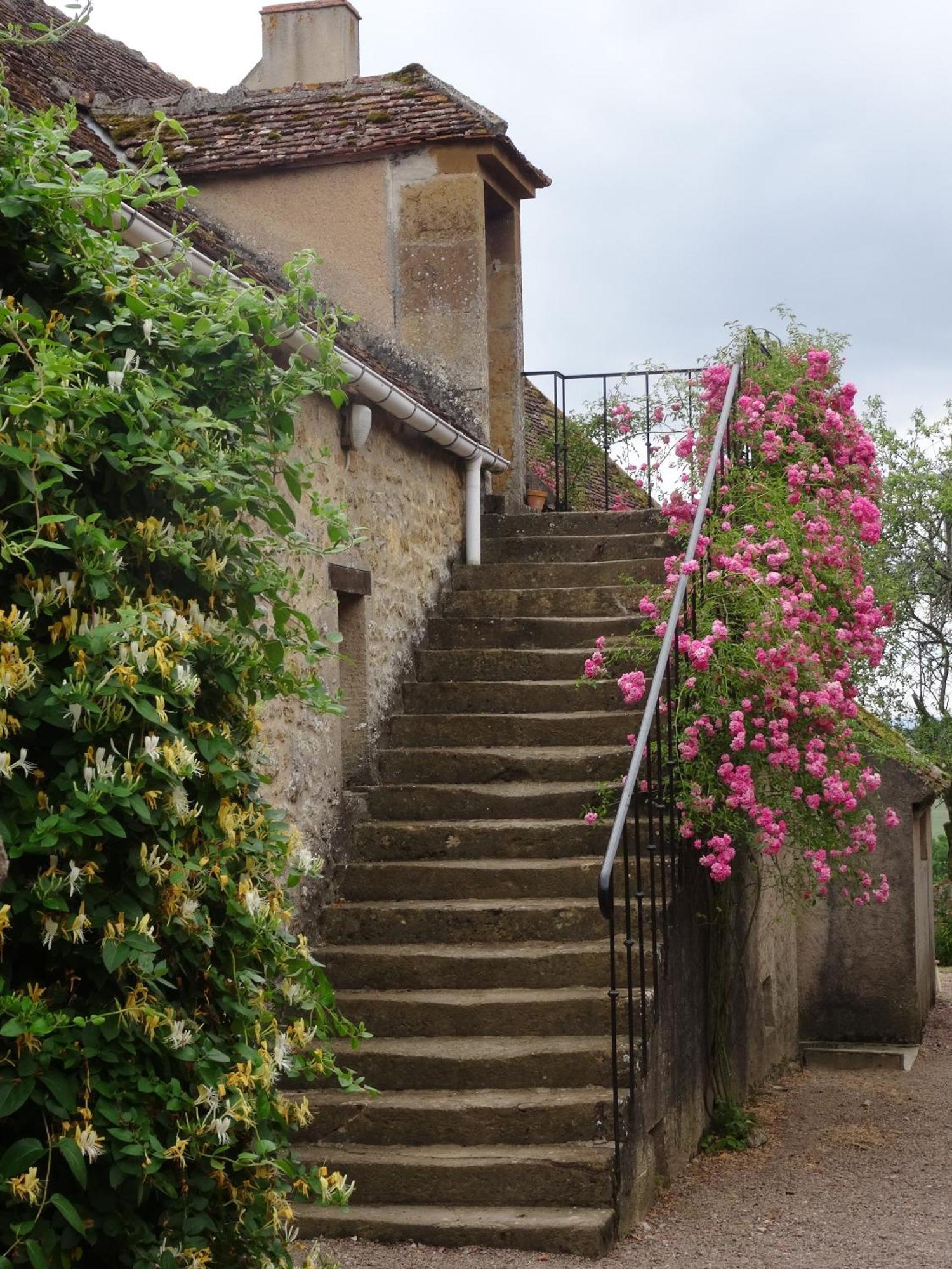 Domaine De Dremont Bed & Breakfast Anthien Eksteriør bilde