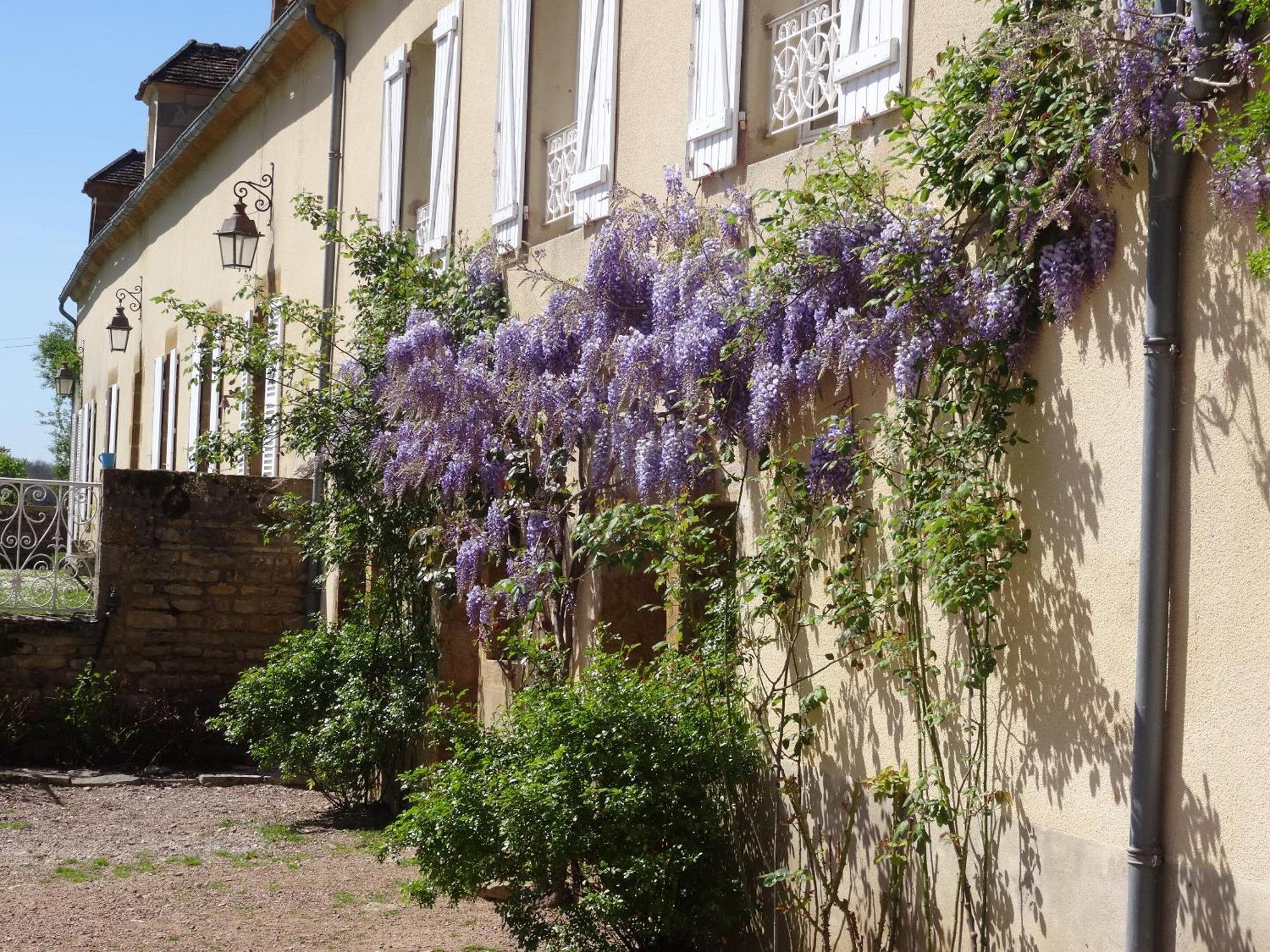 Domaine De Dremont Bed & Breakfast Anthien Eksteriør bilde
