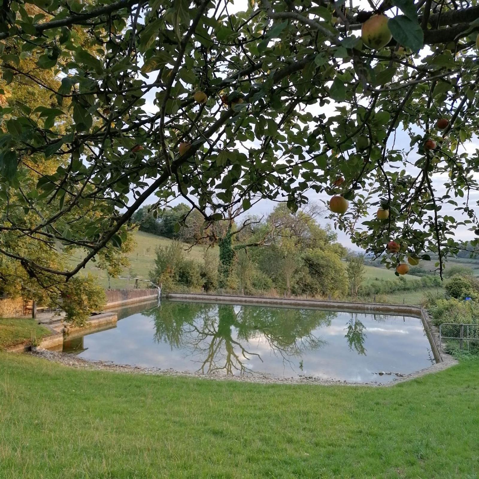 Domaine De Dremont Bed & Breakfast Anthien Eksteriør bilde